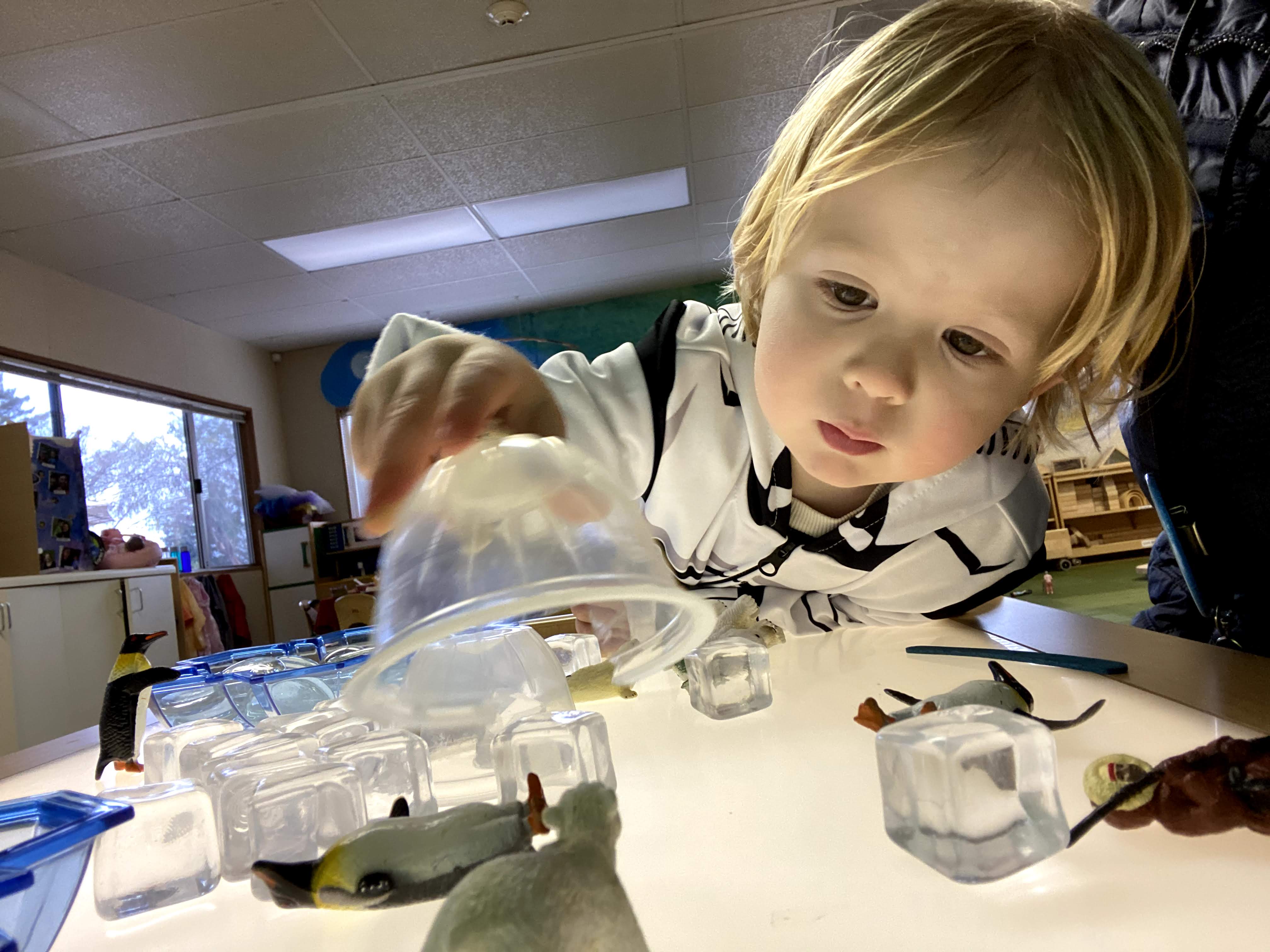 sensory jars